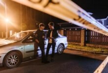 fraud detection enforcement unit