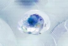 fraud investigation phone numbers