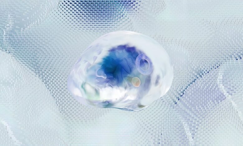 fraud investigation phone numbers