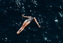 fraud tracking oversight committee