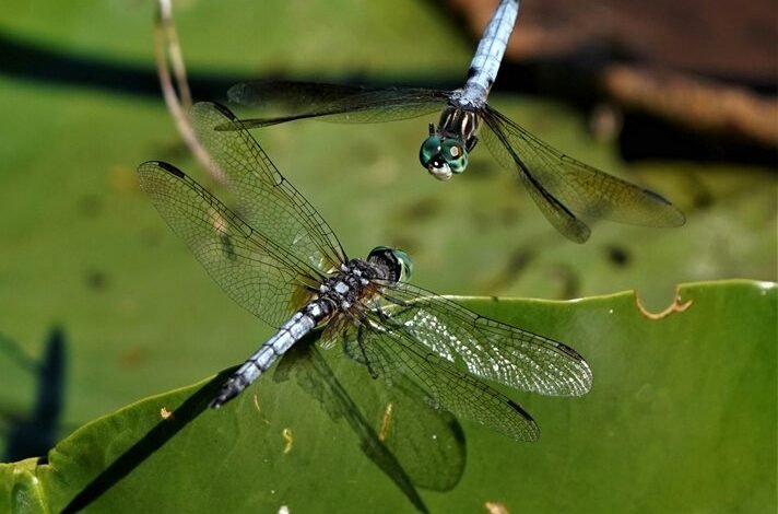 monitoring suspicious behavior compliance