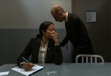 telecommunication oversight risk authority