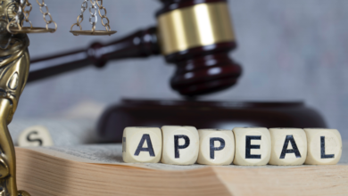 Procedure for Criminal Appeals in Dubai