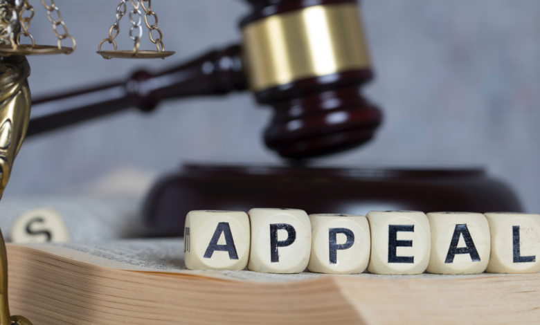 Procedure for Criminal Appeals in Dubai