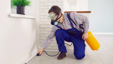 What Albury Homeowners Need To Know About Termite Inspection