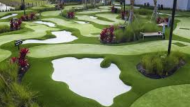 Transform Your Yard: Why Synthetic Lawns Are Perfect for Dallas Homes