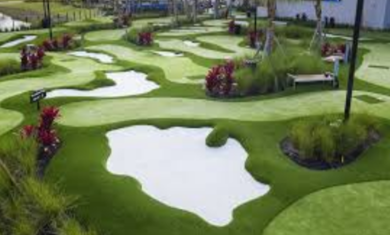 Transform Your Yard: Why Synthetic Lawns Are Perfect for Dallas Homes