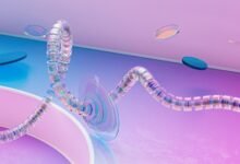 contact numbers for division