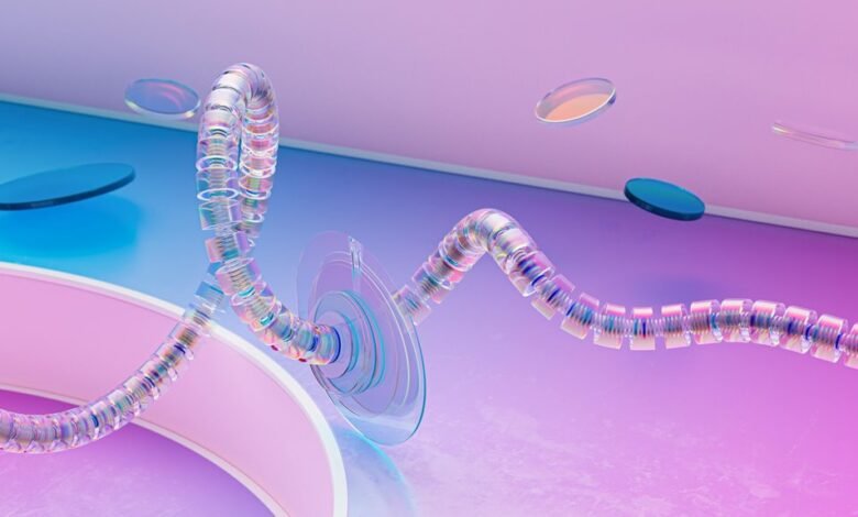 contact numbers for division