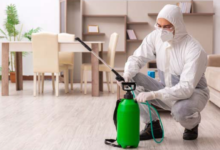 Why Ottawa Residents Are Switching to Recurring House Cleaning and Pest Control Services