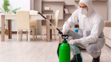 Why Ottawa Residents Are Switching to Recurring House Cleaning and Pest Control Services