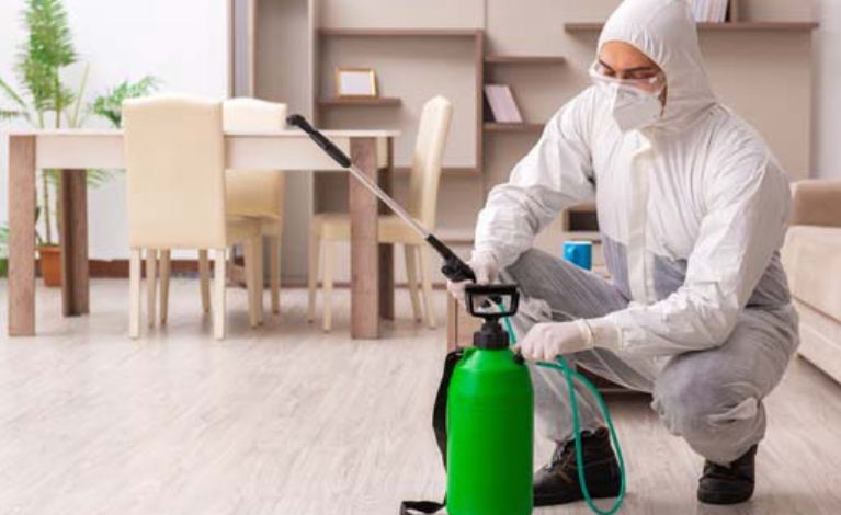 Why Ottawa Residents Are Switching to Recurring House Cleaning and Pest Control Services