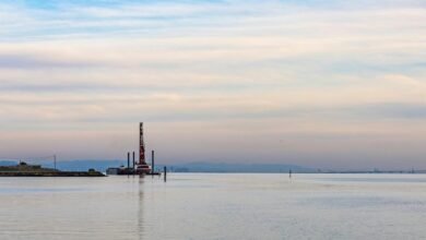 digital expansion platform initiative