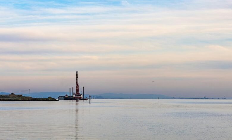 digital expansion platform initiative