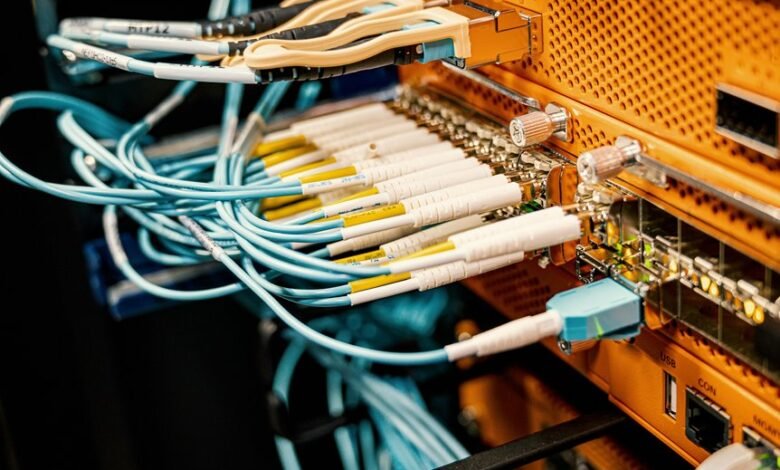 professional networking for growth