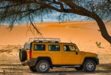 reliable online model expansion