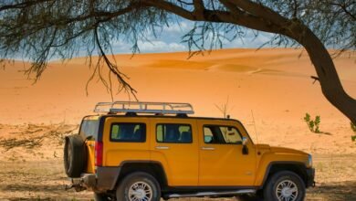 reliable online model expansion